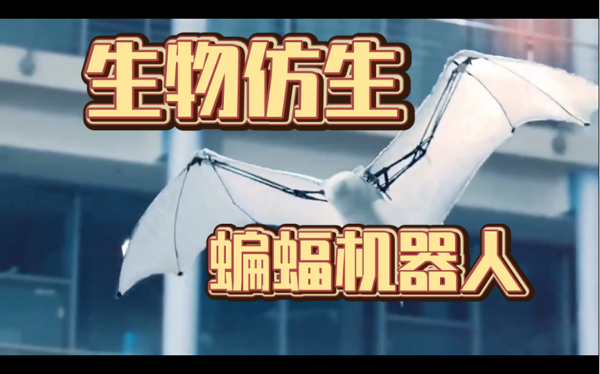 扫地机器人最新(图1)