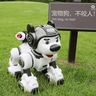 世界机器人大会周末迎来亲子家庭大客流机器人现场做家务不掉链(图1)